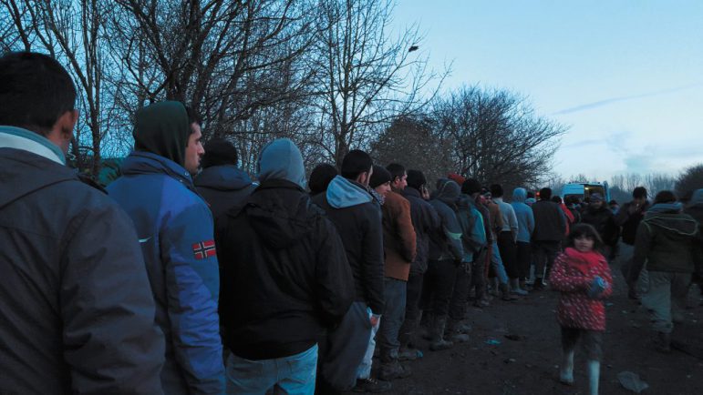 Bullivant Media