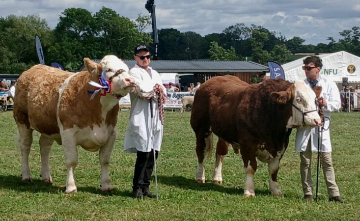 Bullivant Media